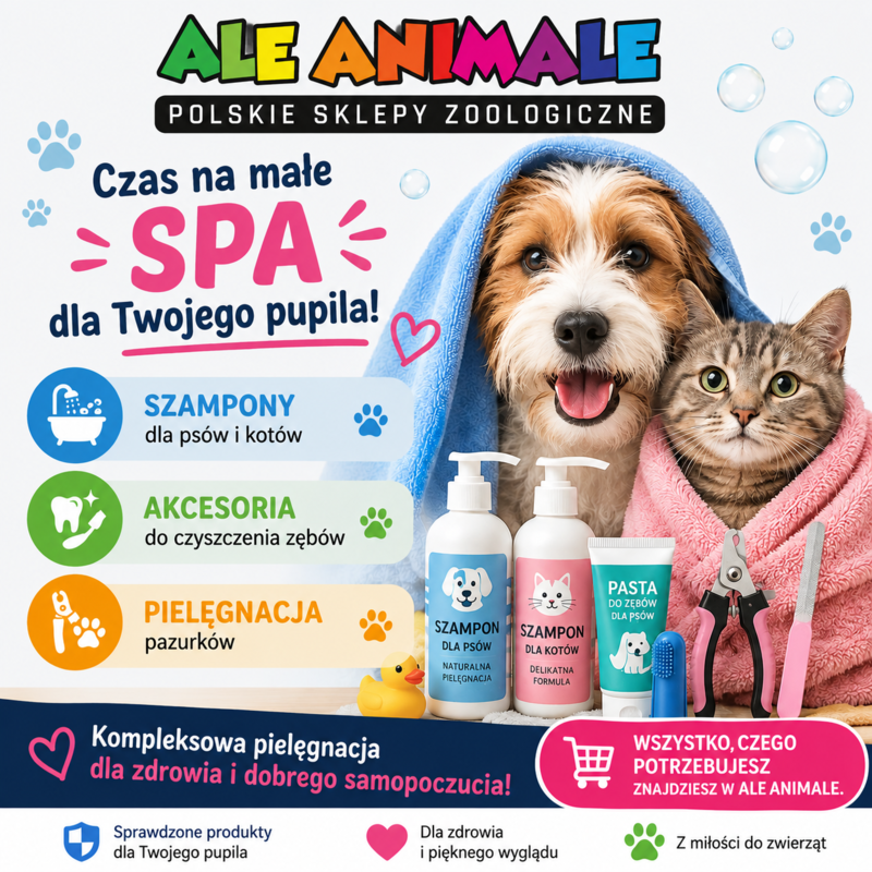 Czas na SPA